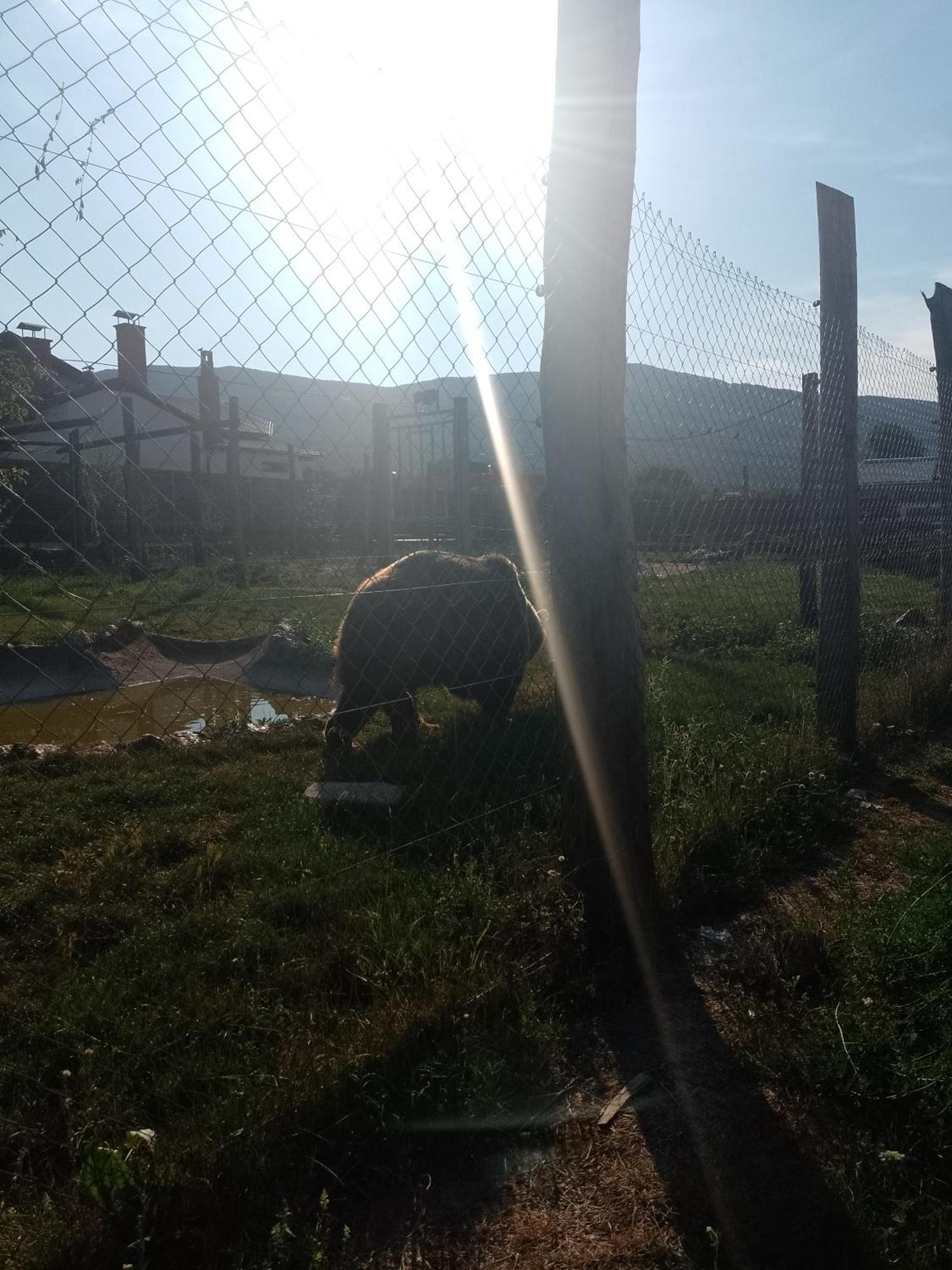 Apartman Djak Plitvicka Jezera Bagian luar foto