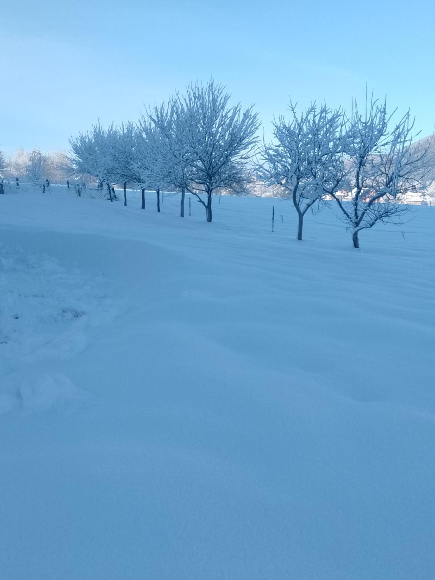 Apartman Djak Plitvicka Jezera Bagian luar foto